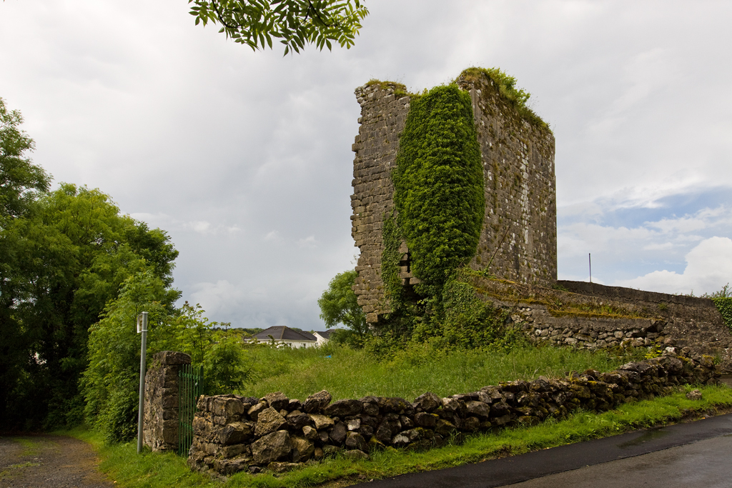 galway-ring-road-castlegar Castles of Connacht, Castlegar, Galway (1) - geograph.org.uk - 4068882